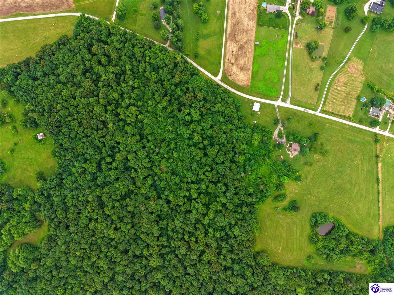 Lot 0 Little Bend Road Battletown, KY 40104 #2
