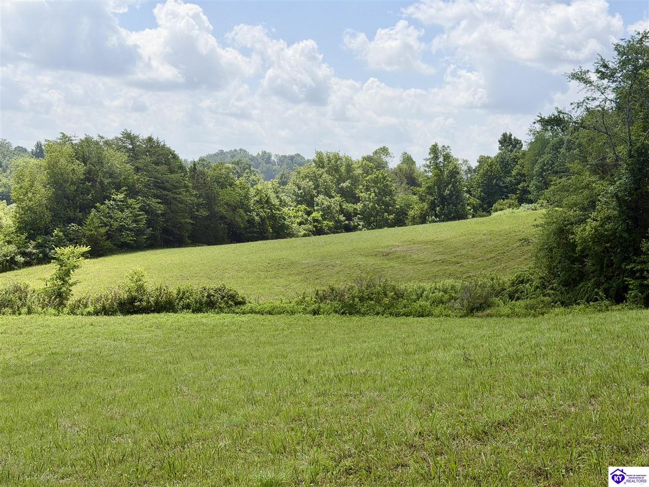 S US 127 Bypass Dunnville, KY 42528 #3