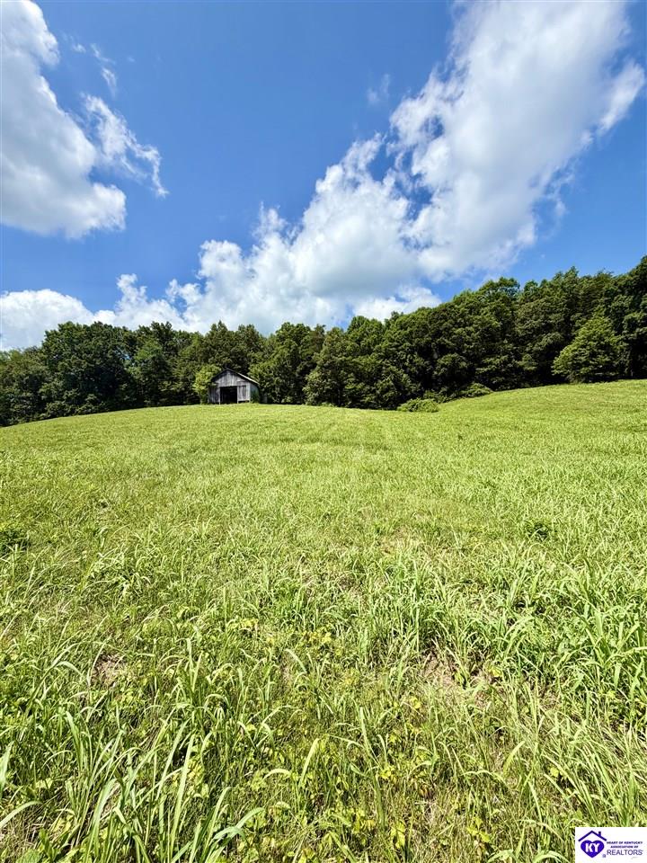 S US 127 Bypass Dunnville, KY 42528 #4