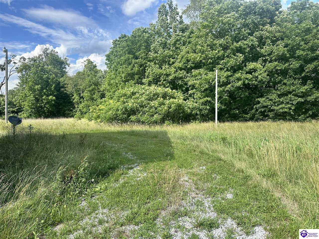 3839 Bradfordsville Road Bradfordsville, KY 40009 #1