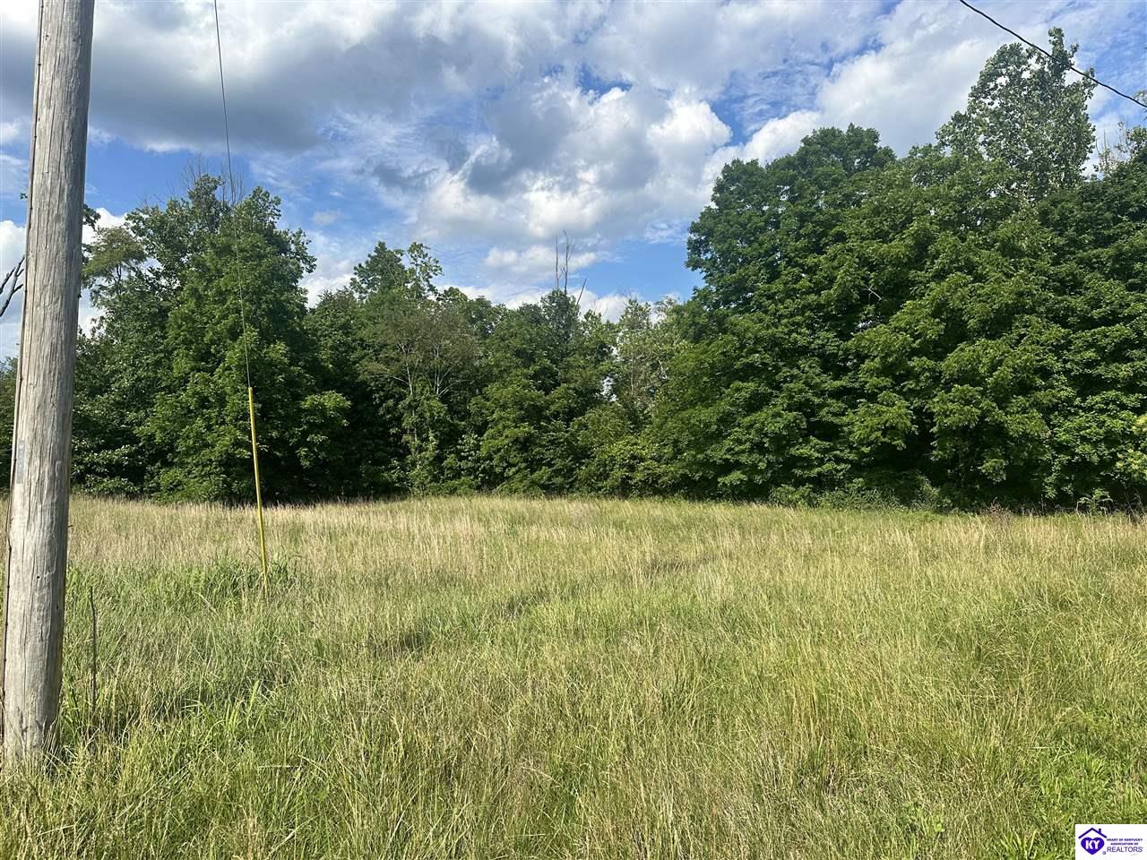 3839 Bradfordsville Road Bradfordsville, KY 40009 #2