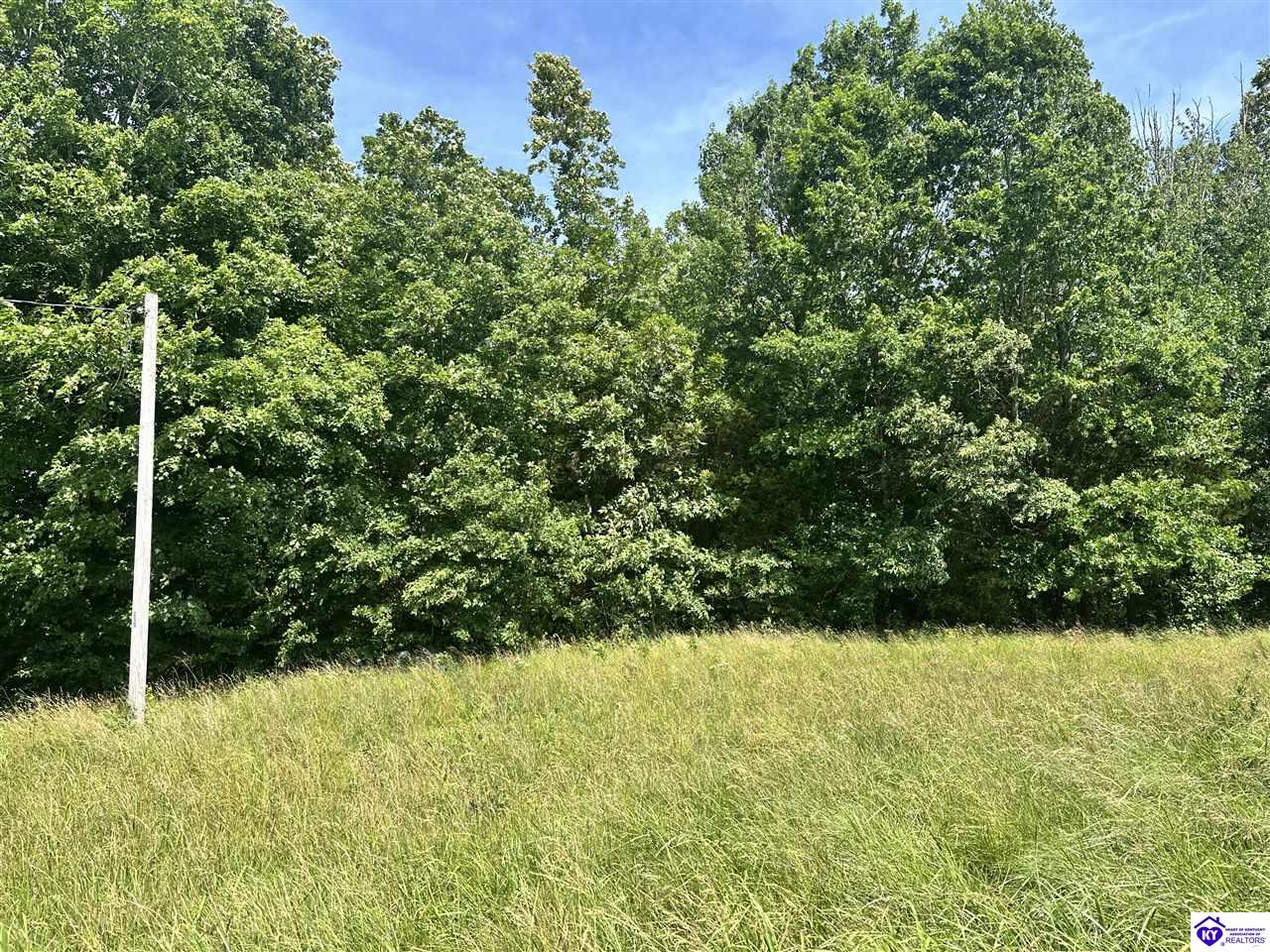 3839 Bradfordsville Road Bradfordsville, KY 40009 #4
