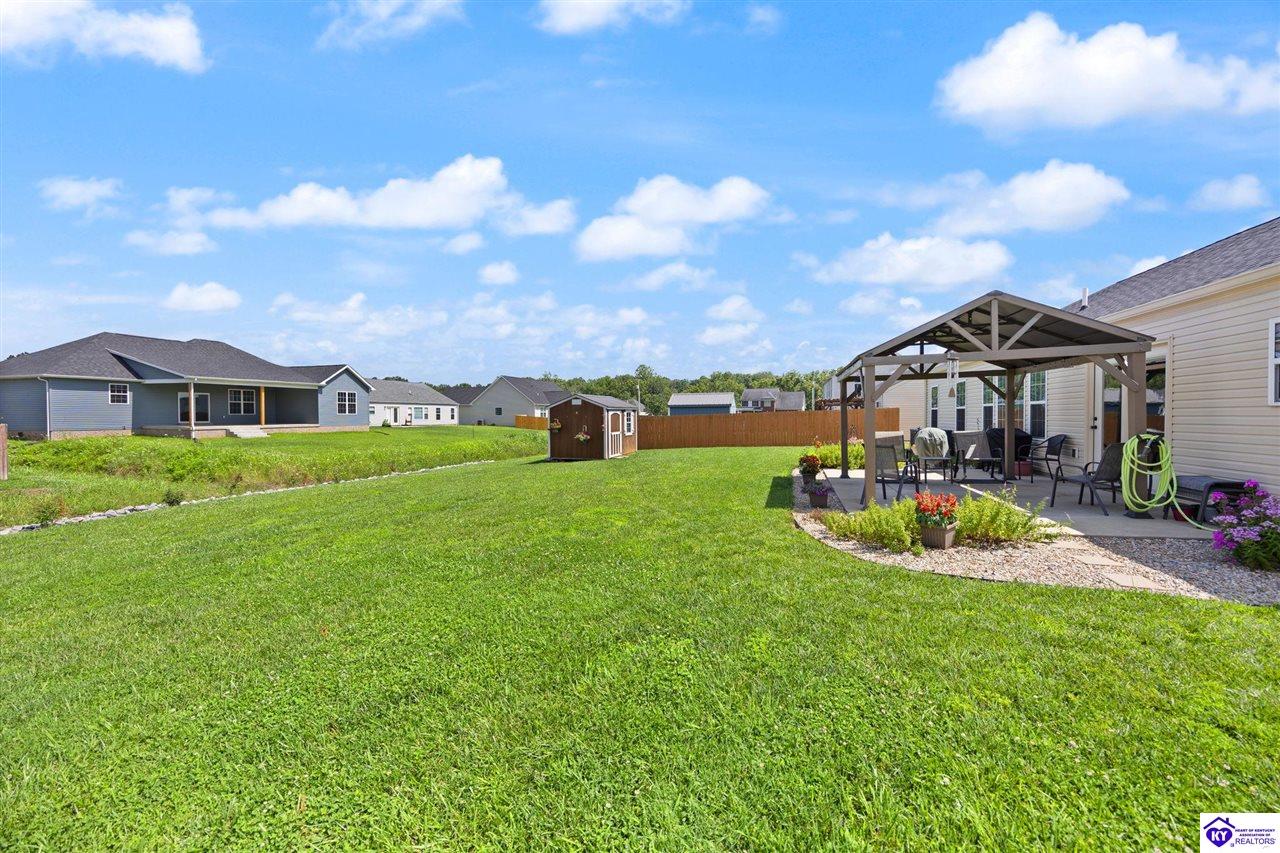 409 Lambrusco Way Vine Grove, KY 40175 #4
