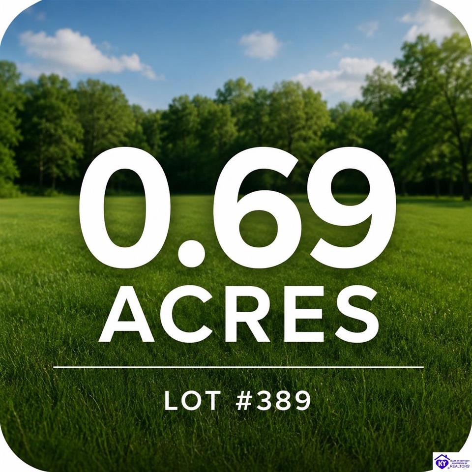Lot 389 Riesling CourtVine Grove,&nbsp;KY&nbsp;40175