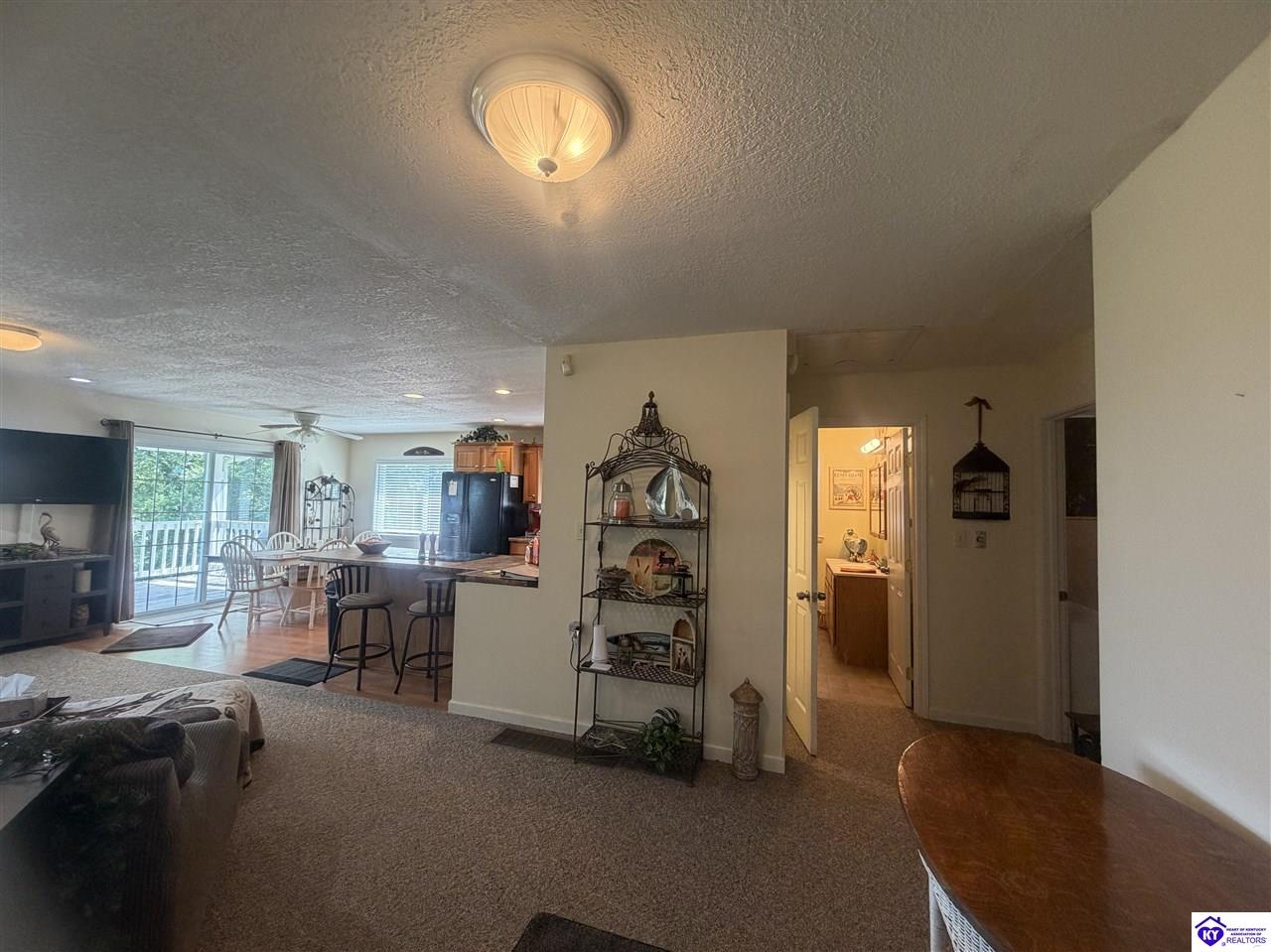983 Cave Heights Lane Falls Of Rough, KY 40119 #2