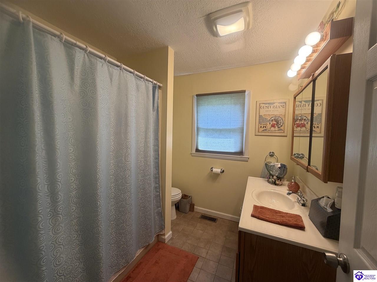 983 Cave Heights Lane Falls Of Rough, KY 40119 #4