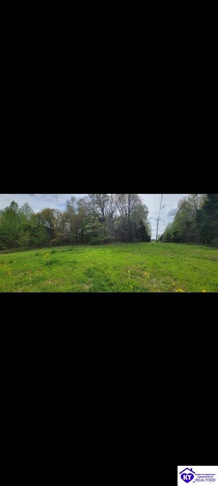 2560 Meeting Creek RoadEastview,&nbsp;KY&nbsp;42724