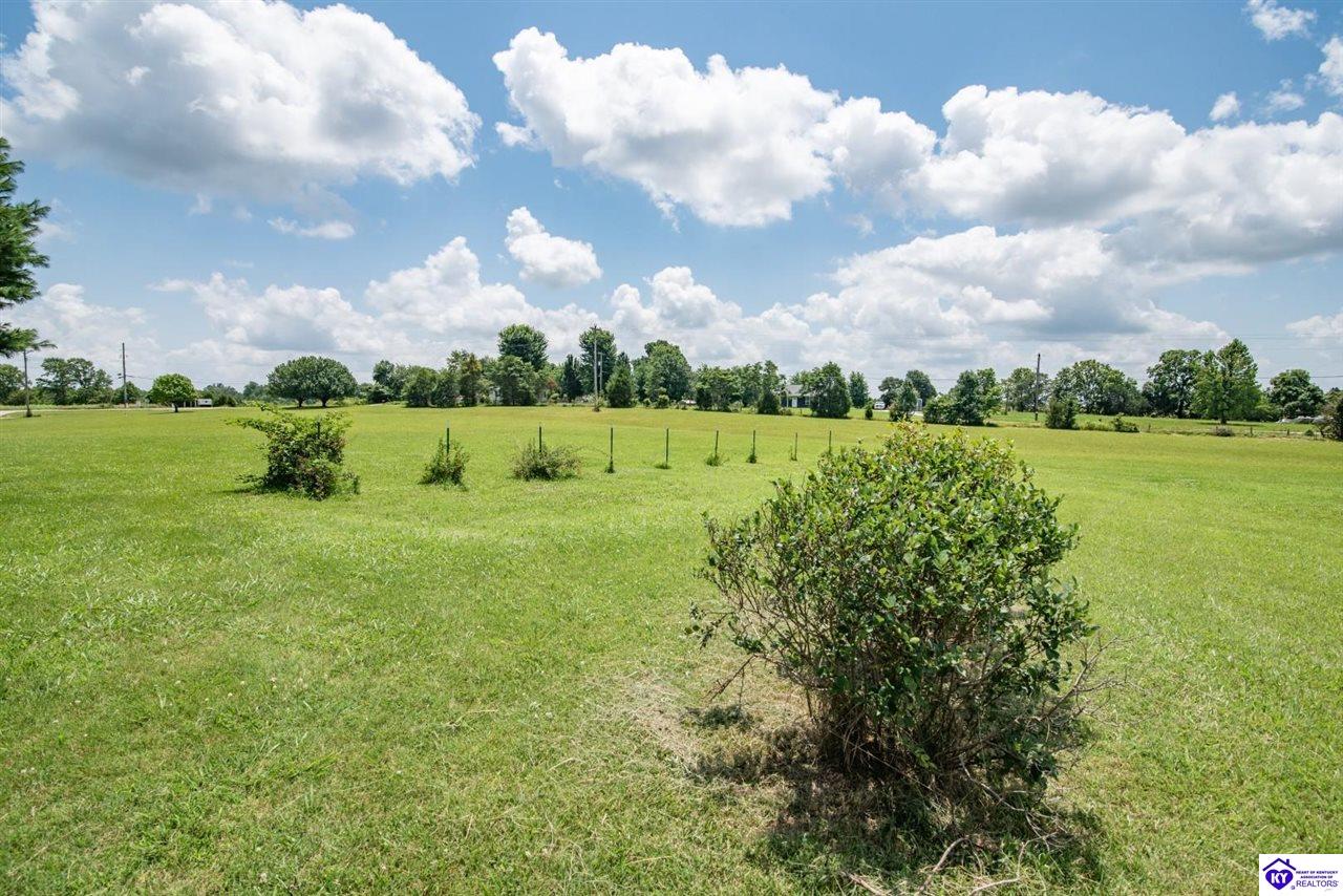 85 Needham Road Eastview, KY 42732 #1