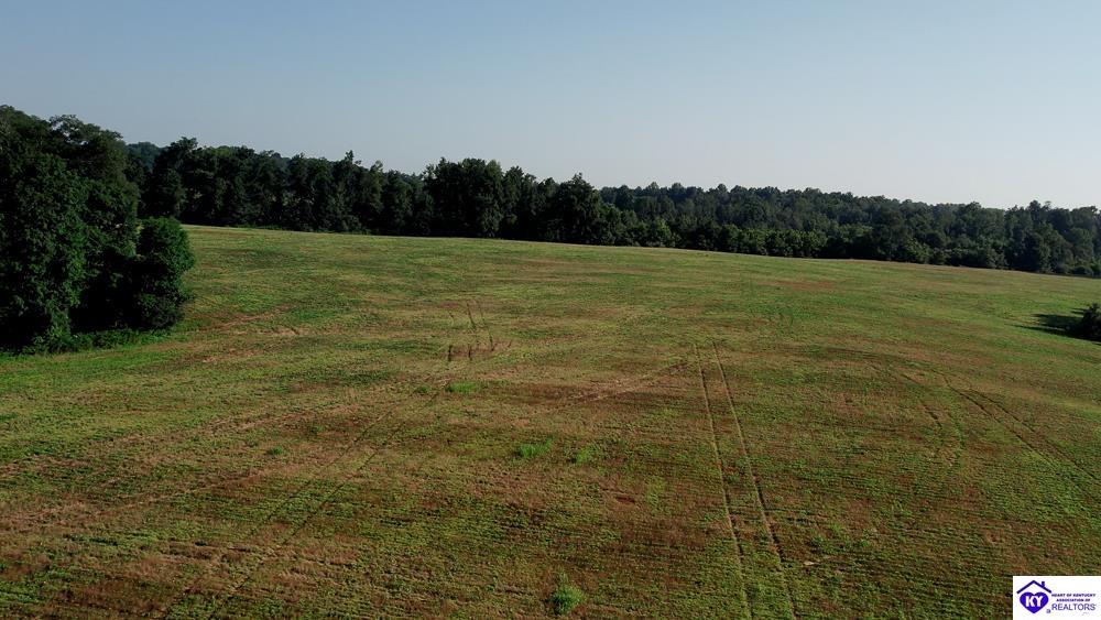 TRACT 3A & 4A Stiles Ford Road Hodgenville, KY 42748 #3