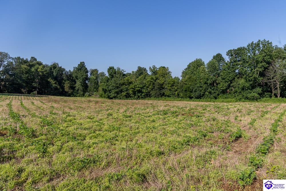 TRACT 3A & 4A Stiles Ford Road Hodgenville, KY 42748 #4