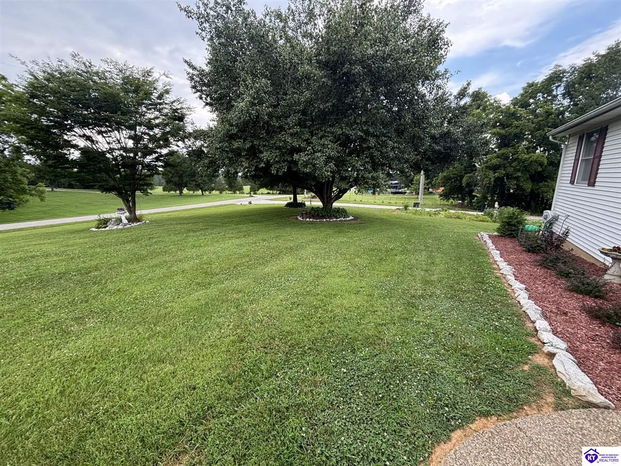 1380 Buck Knobs Road Ekron, KY 40117 #3