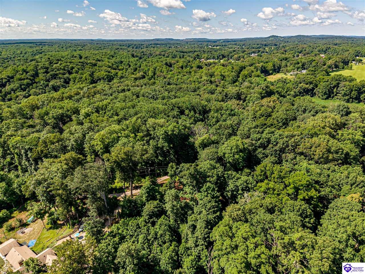 Lot 25 Ferncliff Road Brandenburg, KY 40108 #2