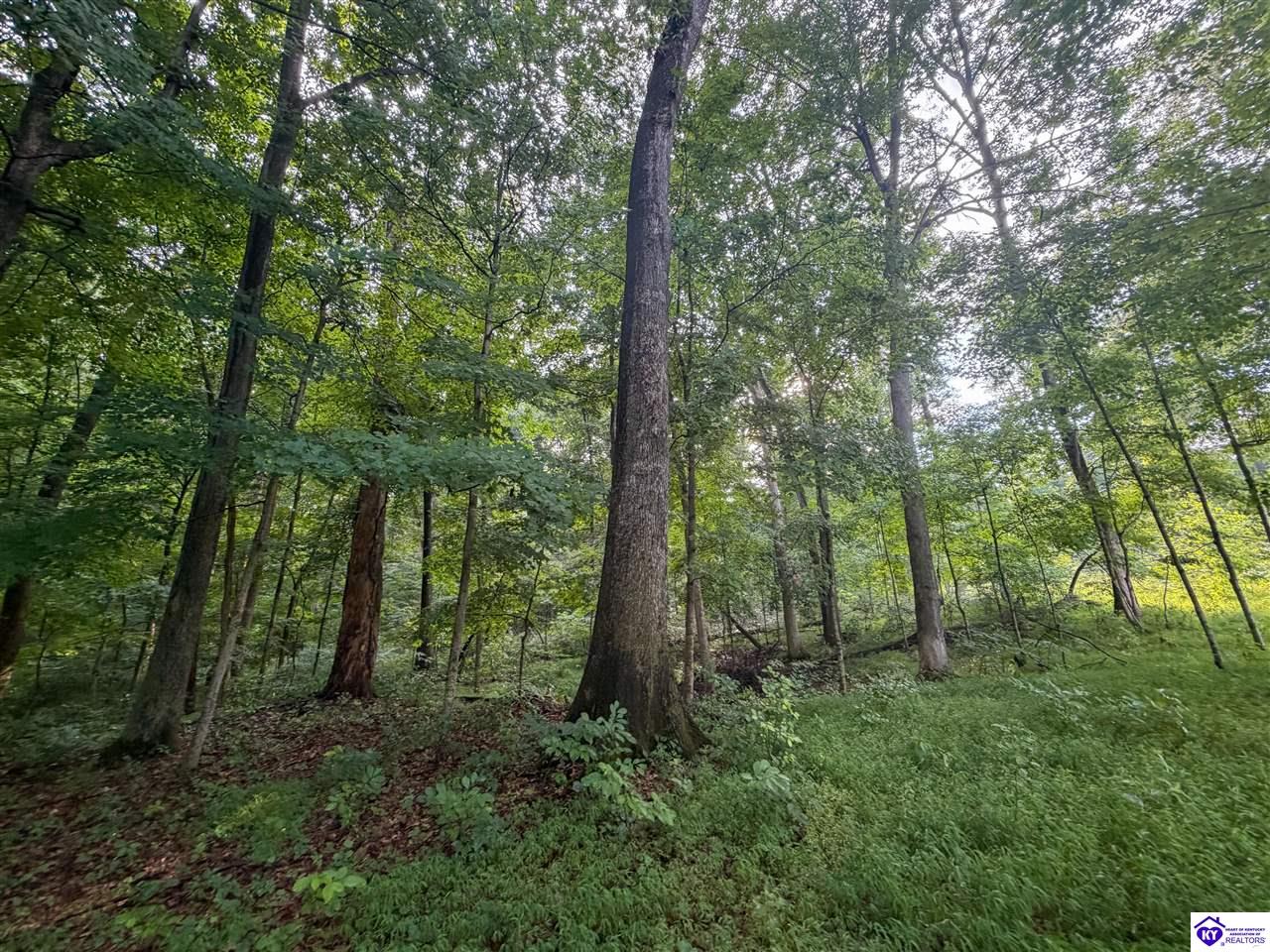 Lot 25 Ferncliff Road Brandenburg, KY 40108 #3