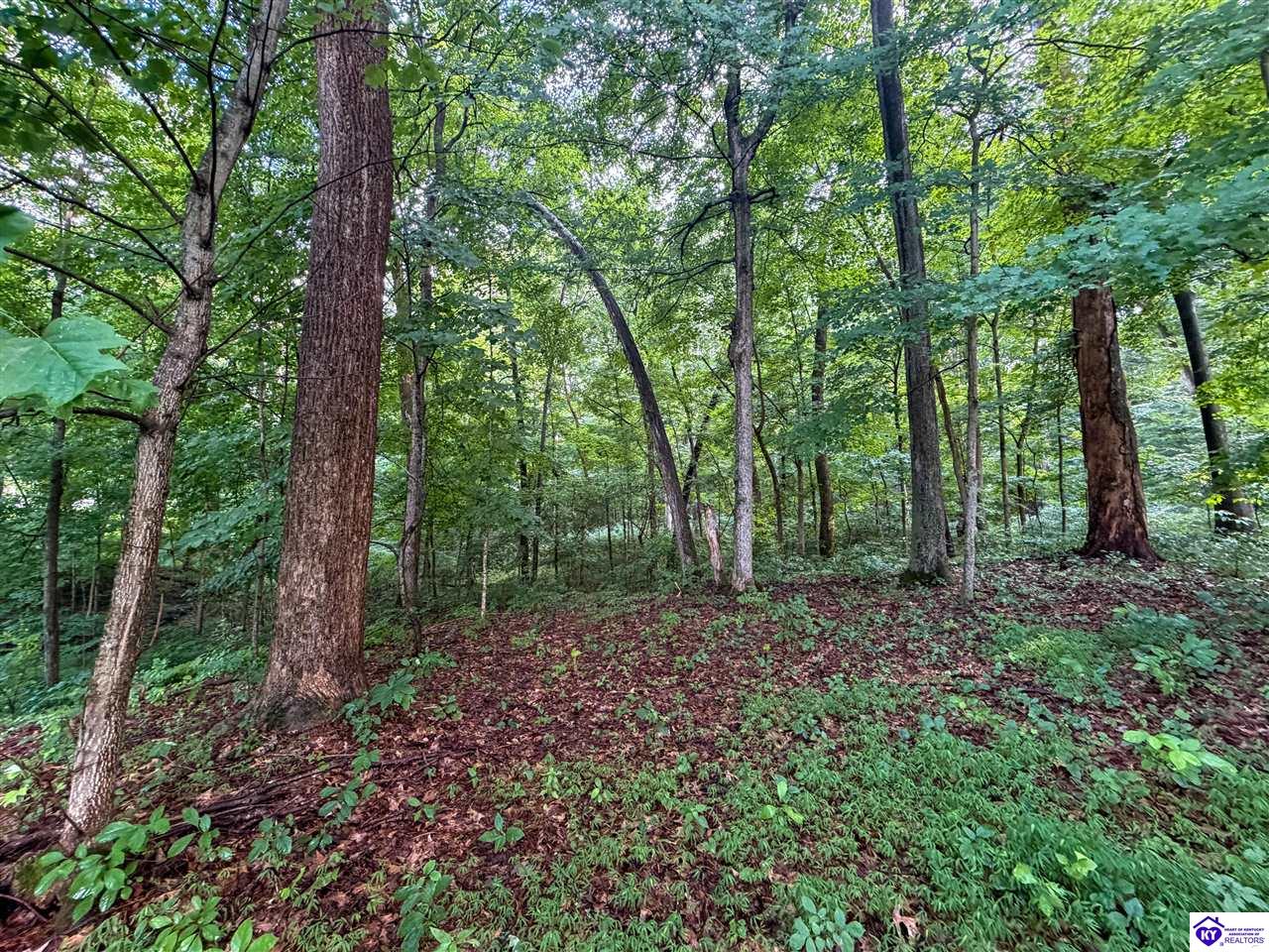 Lot 25 Ferncliff Road Brandenburg, KY 40108 #4