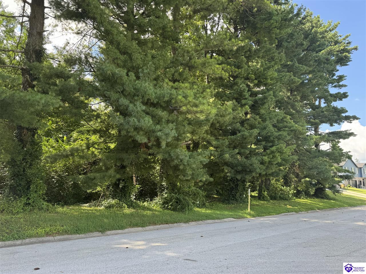 210 Hunter Lane Elizabethtown, KY 42701 #1