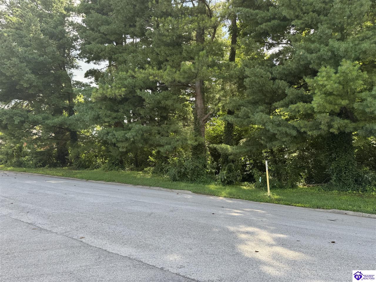 210 Hunter Lane Elizabethtown, KY 42701 #3