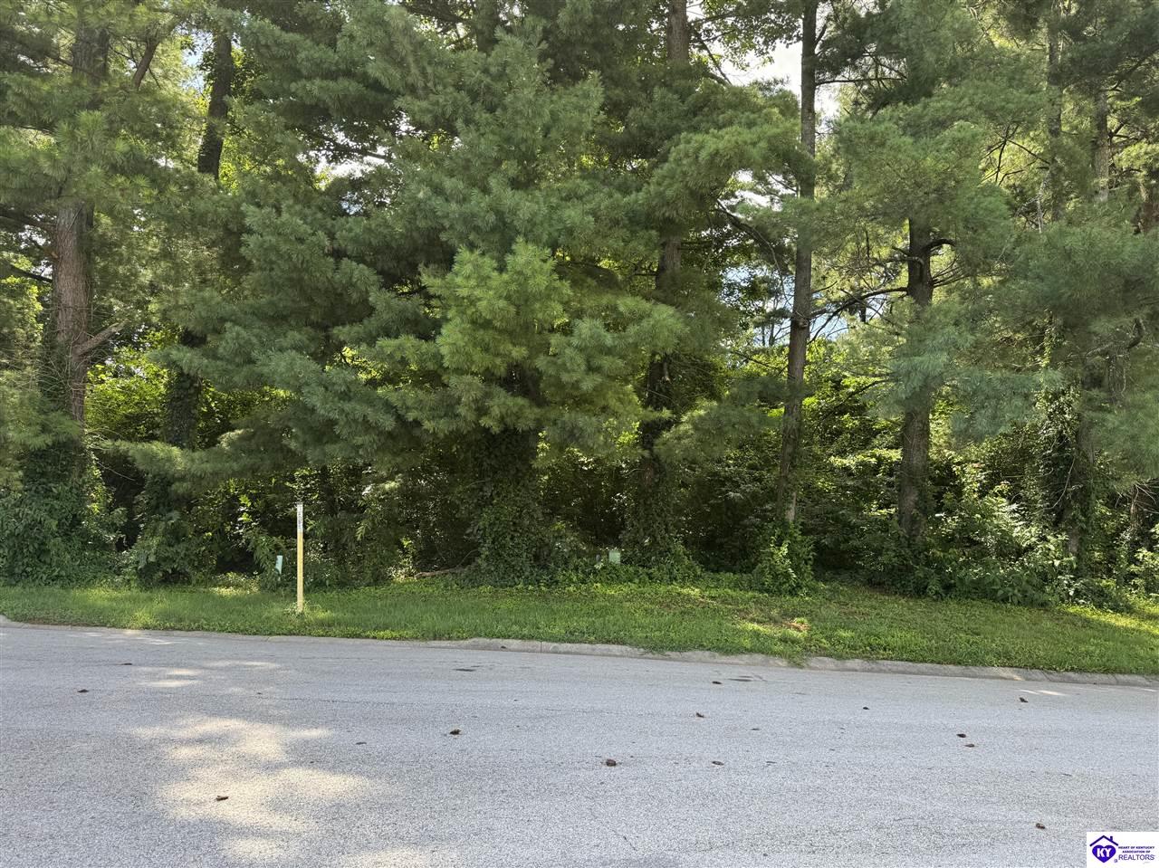 210 Hunter Lane Elizabethtown, KY 42701 #4