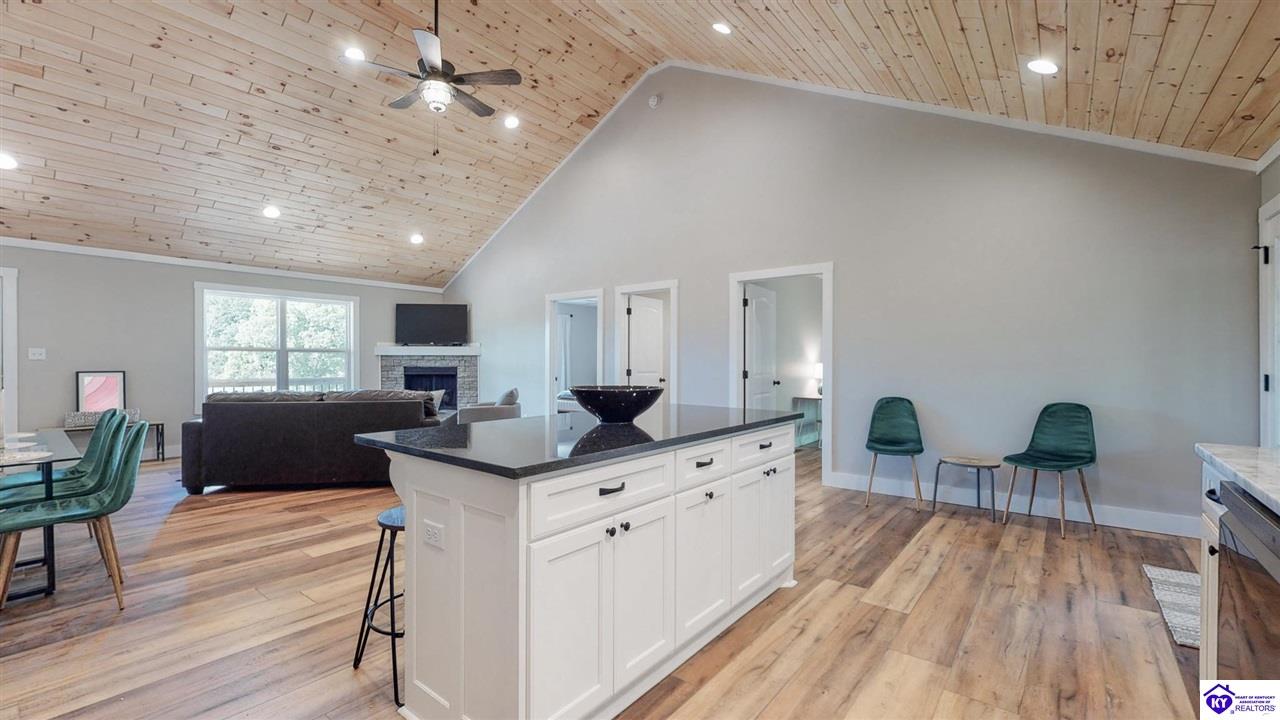 95 Clees Point Road Leitchfield, KY 42754 #4