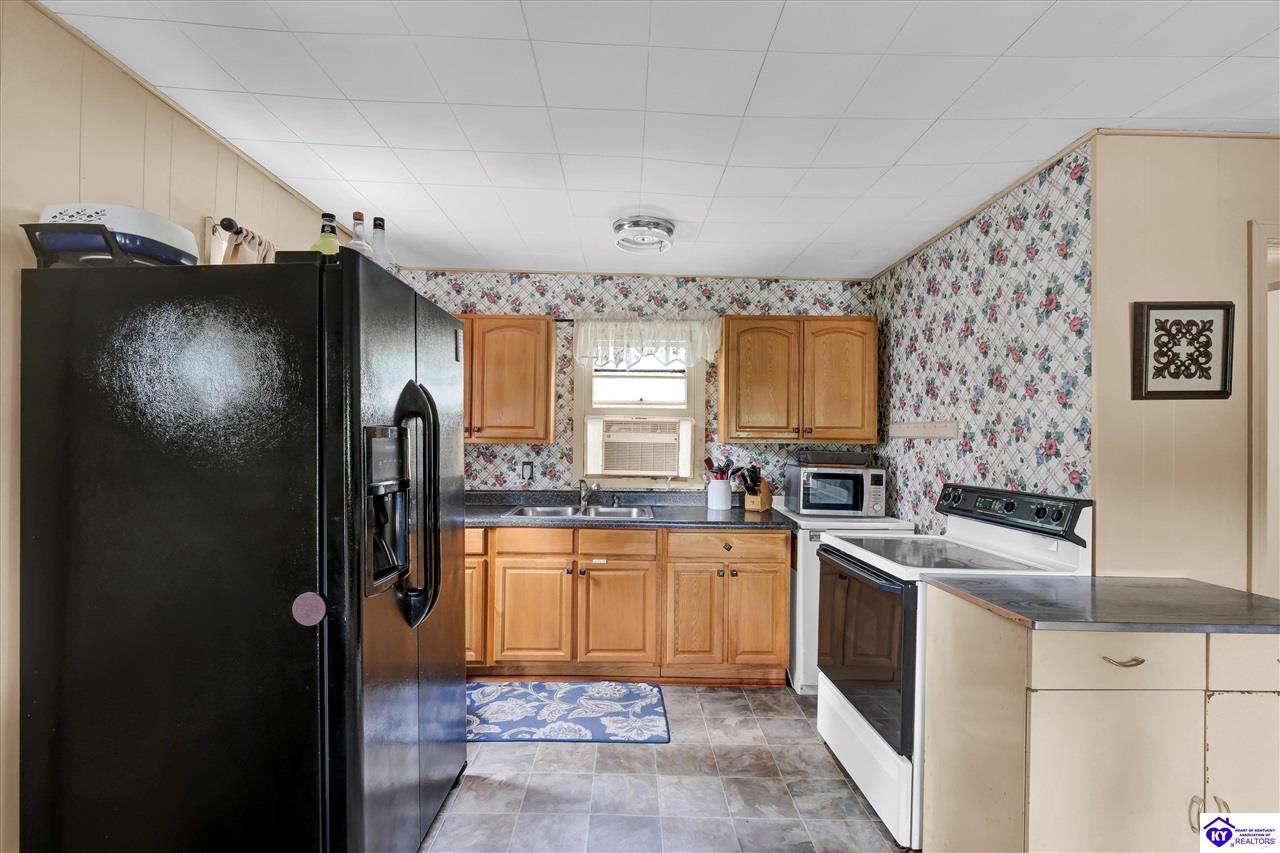 156 Skyline Drive Clarkson, KY 42726 #3