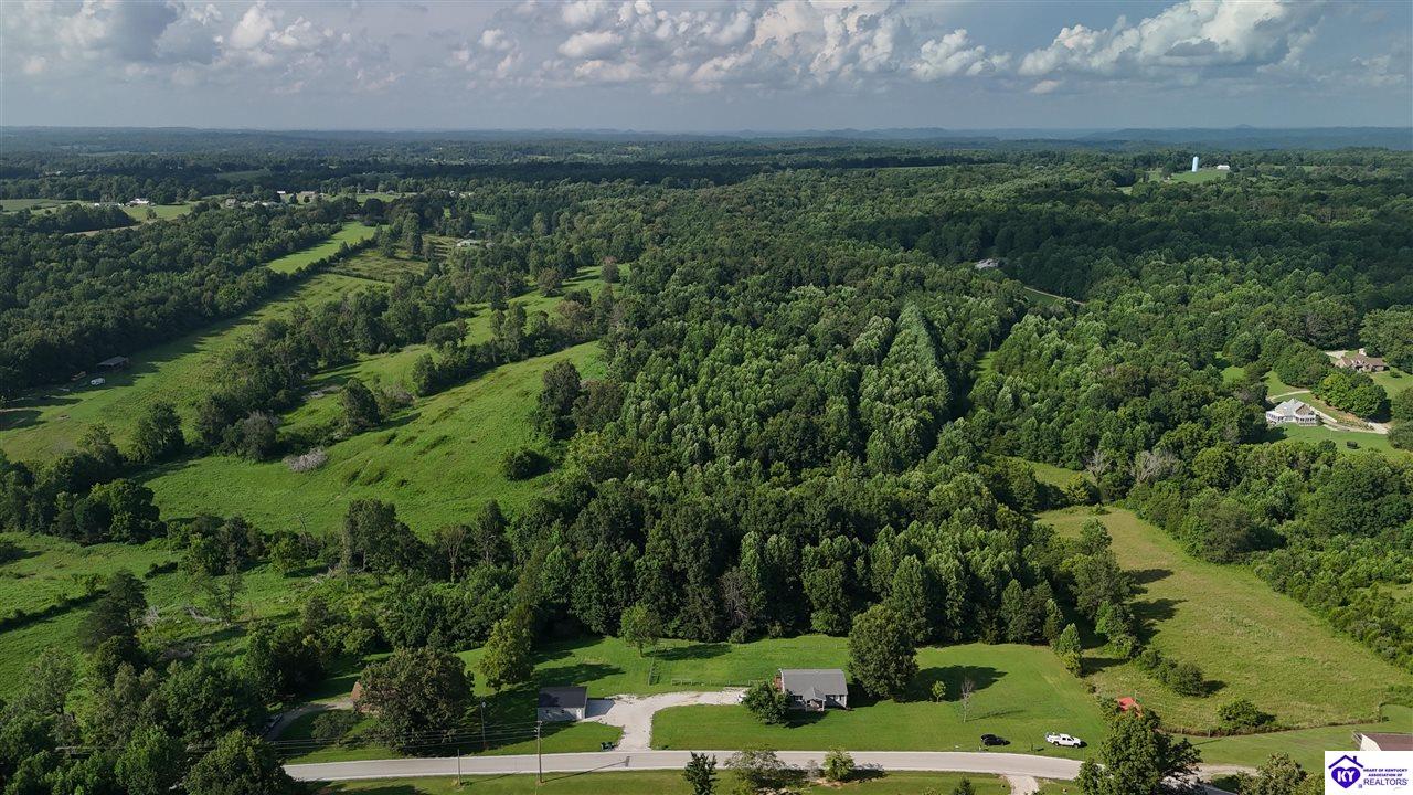 Tract 1B Dangerfield RoadHodgenville,&nbsp;KY&nbsp;42748