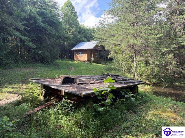 Tract 1B Dangerfield Road Hodgenville, KY 42748 #1