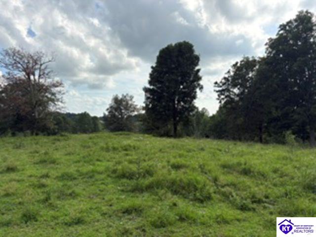 Tract 1B Dangerfield Road Hodgenville, KY 42748 #2