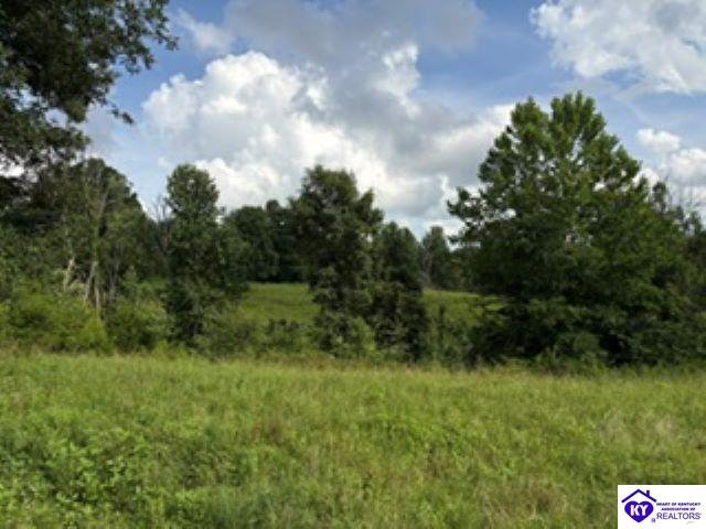 Tract 1B Dangerfield Road Hodgenville, KY 42748 #3