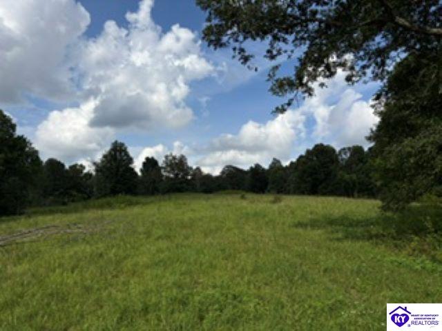 Tract 1B Dangerfield Road Hodgenville, KY 42748 #4