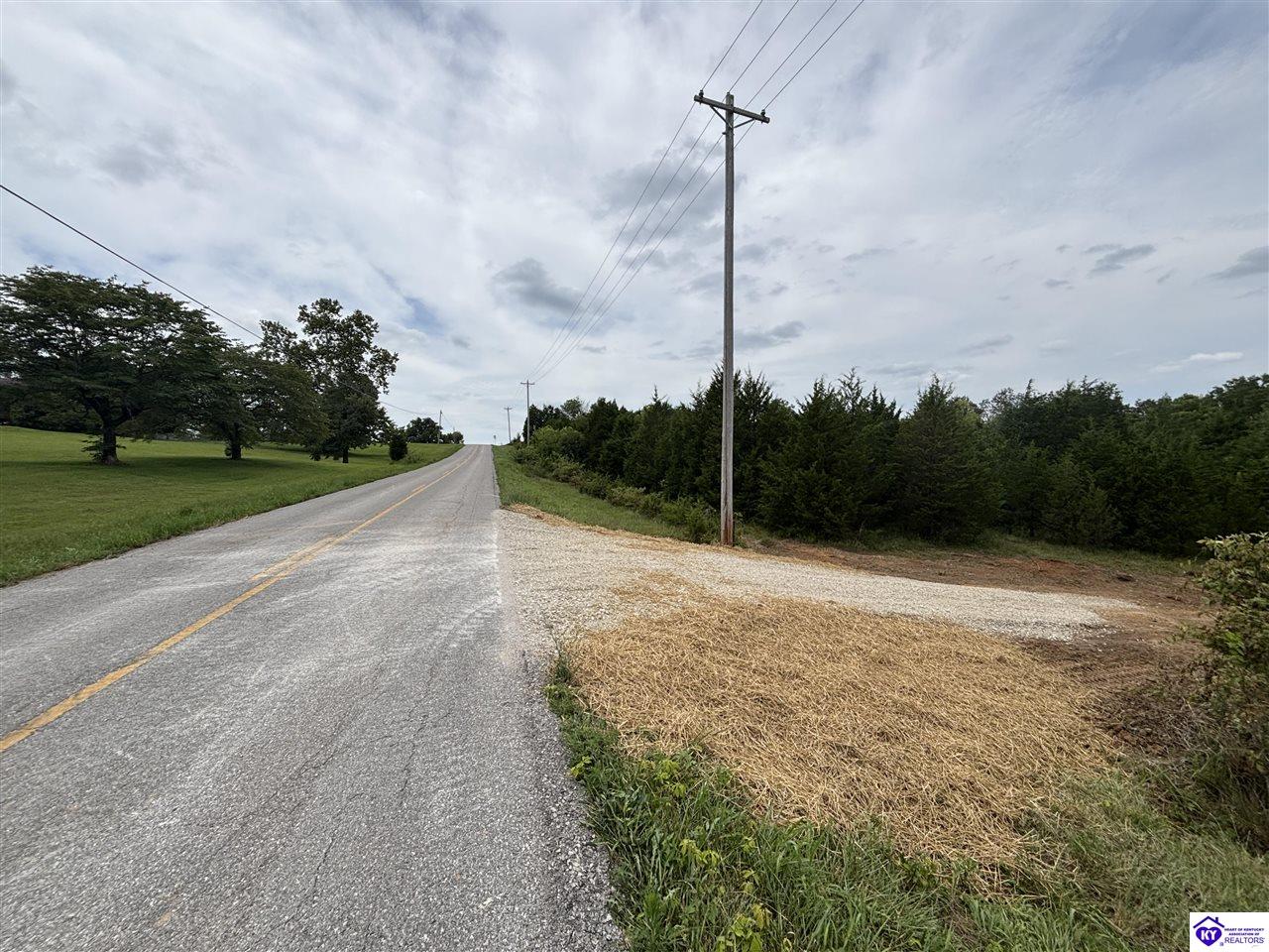 2370 Sandy Hill Road Guston, KY 40142 #1