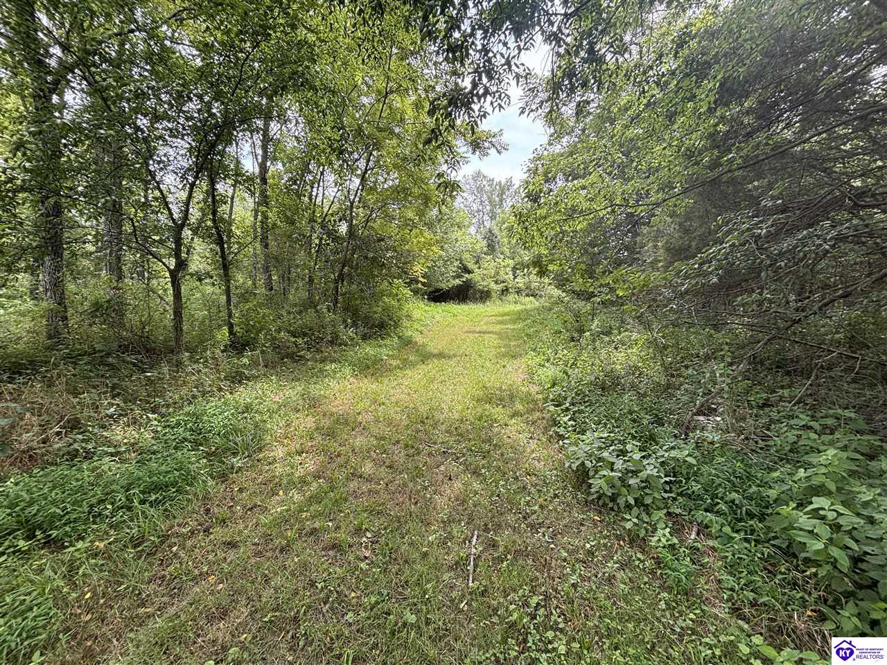 2370 Sandy Hill Road Guston, KY 40142 #2