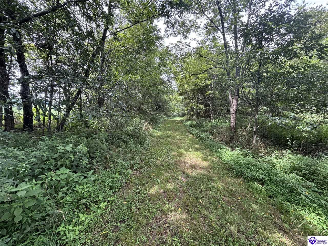 2370 Sandy Hill Road Guston, KY 40142 #3