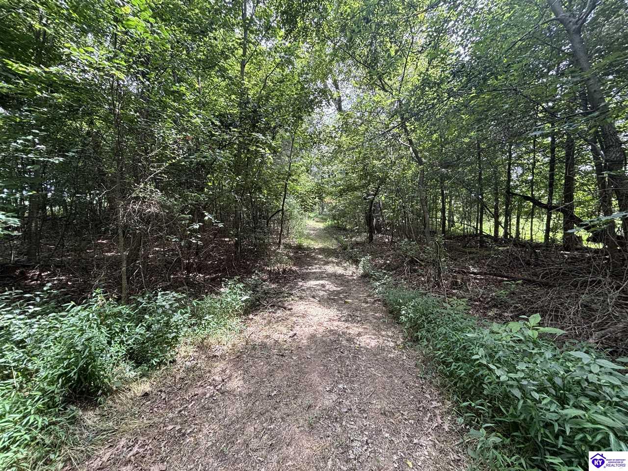 2370 Sandy Hill Road Guston, KY 40142 #4