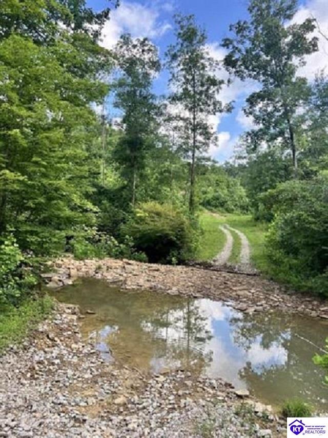 0 Straight Fork RoadVanceburg,&nbsp;KY&nbsp;41179