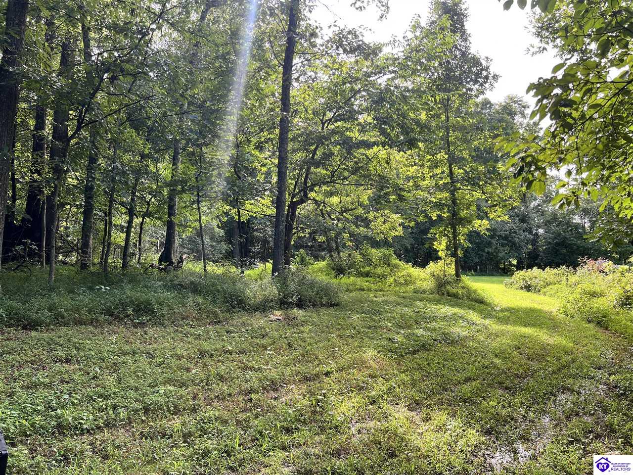Tract G Sutzer Creek RoadEastview,&nbsp;KY&nbsp;42732