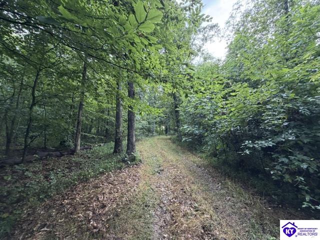 Tract G Sutzer Creek Road Eastview, KY 42732 #1
