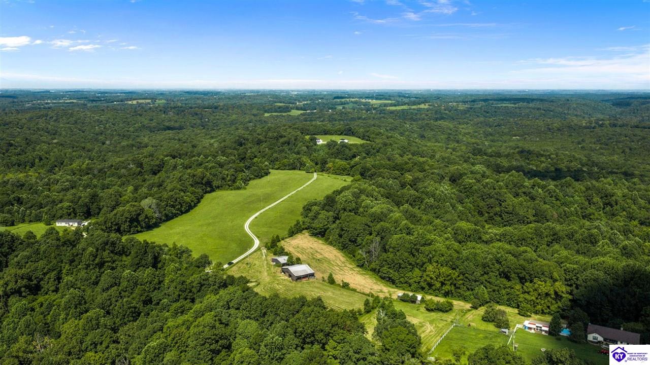 1225 N Grandview Church Road Cecilia, KY 42724 #4