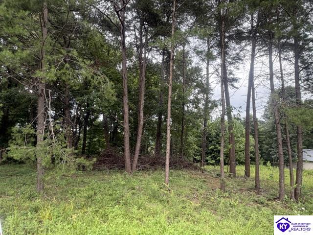 0 Paulette WayFalls Of Rough,&nbsp;KY&nbsp;40119