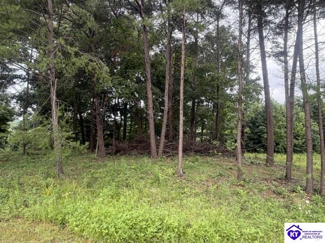 0 Paulette Way Falls Of Rough, KY 40119 #1