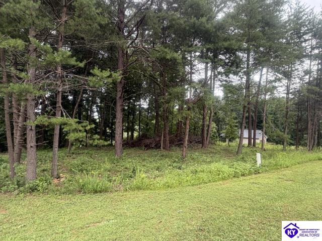0 Paulette Way Falls Of Rough, KY 40119 #3