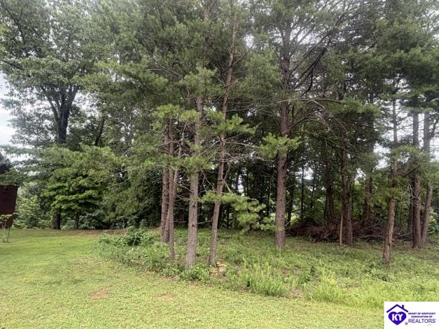 0 Paulette Way Falls Of Rough, KY 40119 #4