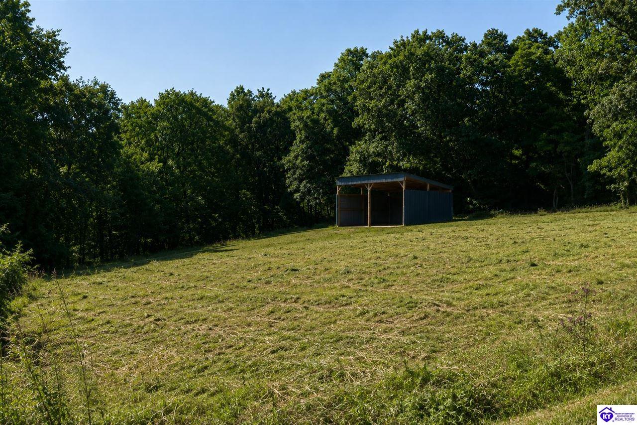 00 Levi Beam RoadMagnolia,&nbsp;KY&nbsp;42757