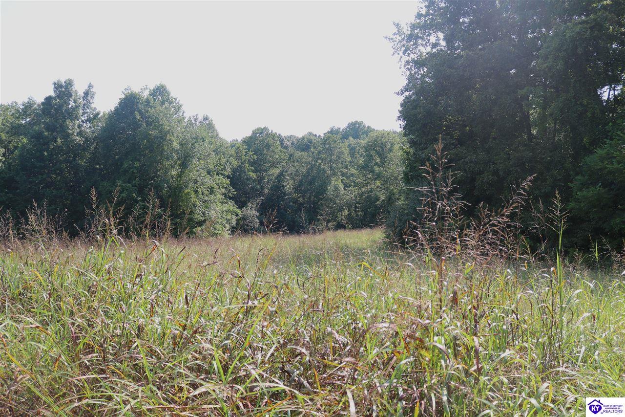 00 Levi Beam Road Magnolia, KY 42757 #1