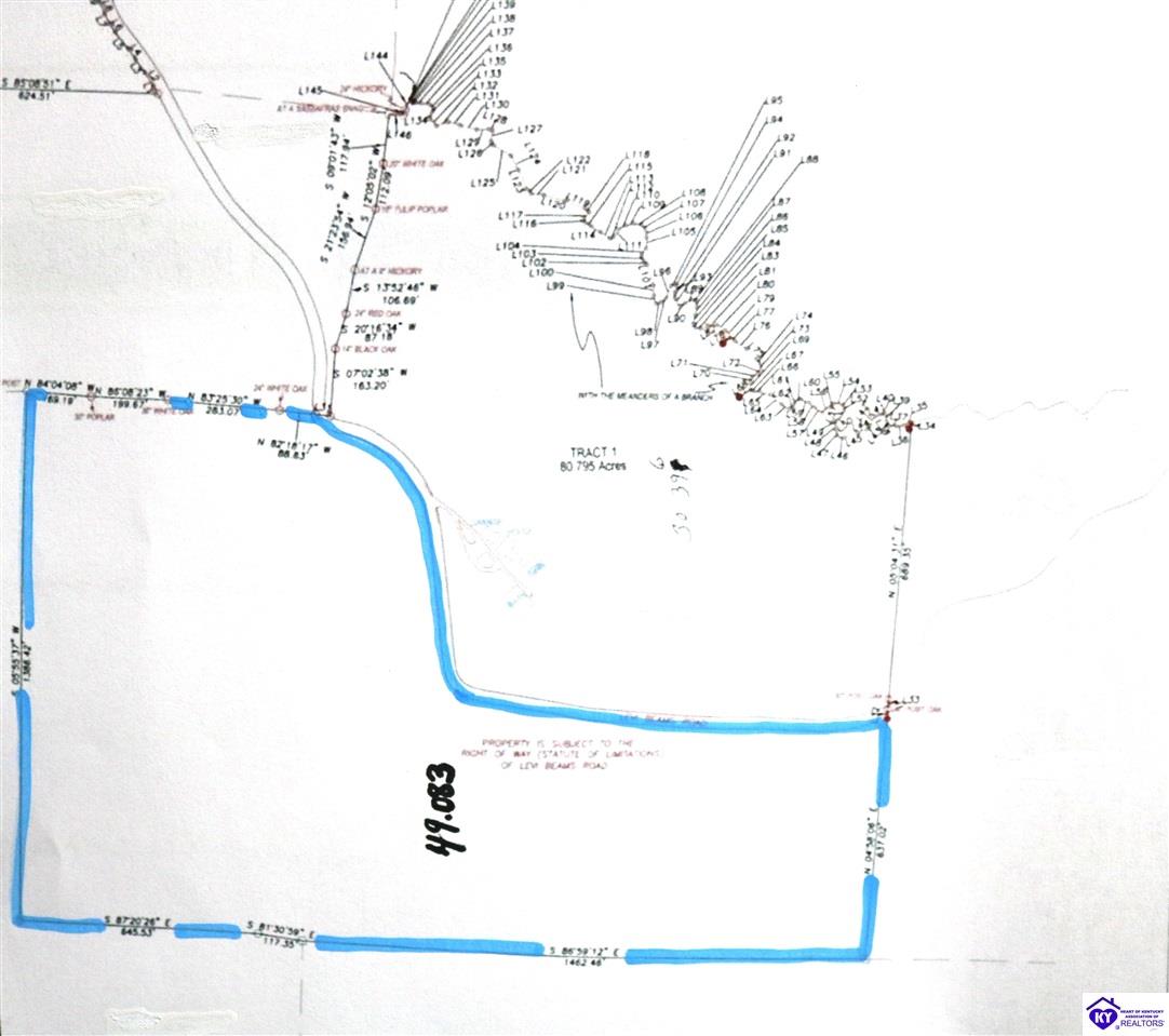 00 Levi Beam Road Magnolia, KY 42757 #3