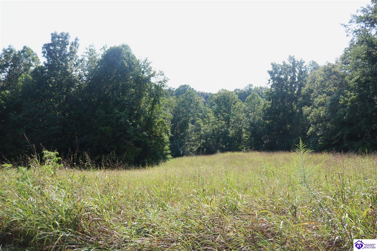 00 Levi Beam Road Magnolia, KY 42757 #4