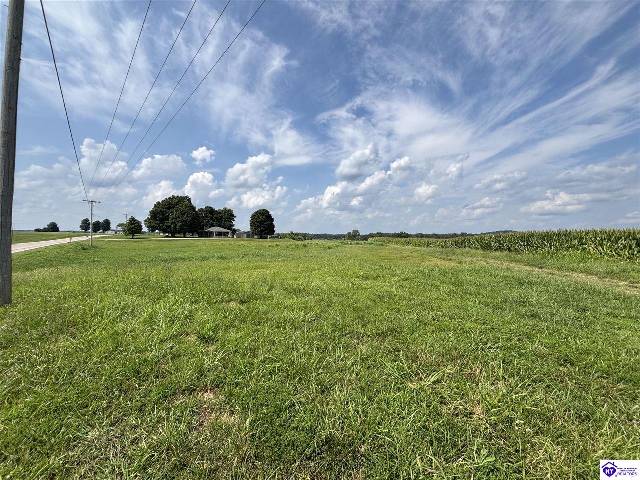 1404 Payneville Road Brandenburg, KY 40108 #2