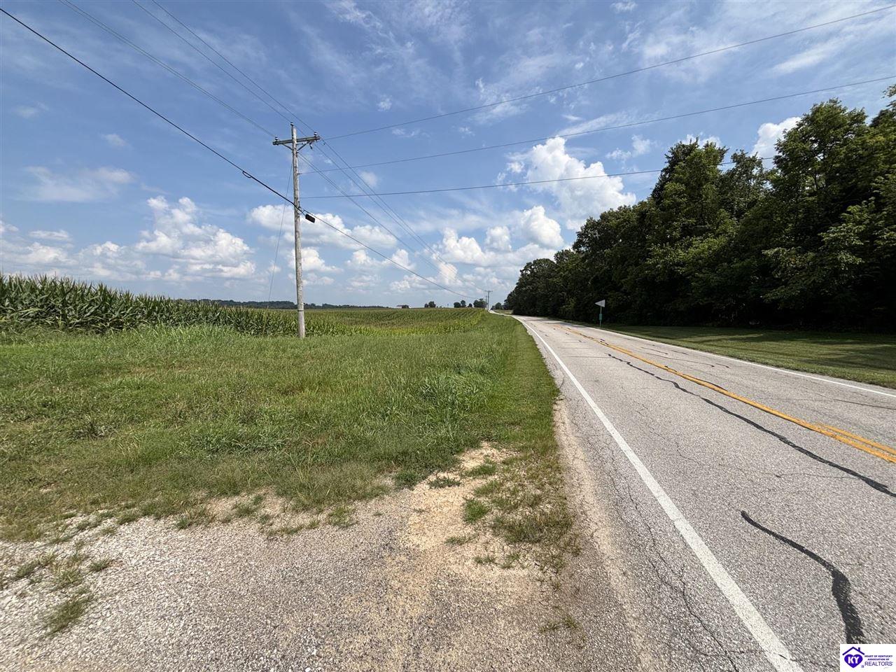 1404 Payneville Road Brandenburg, KY 40108 #3