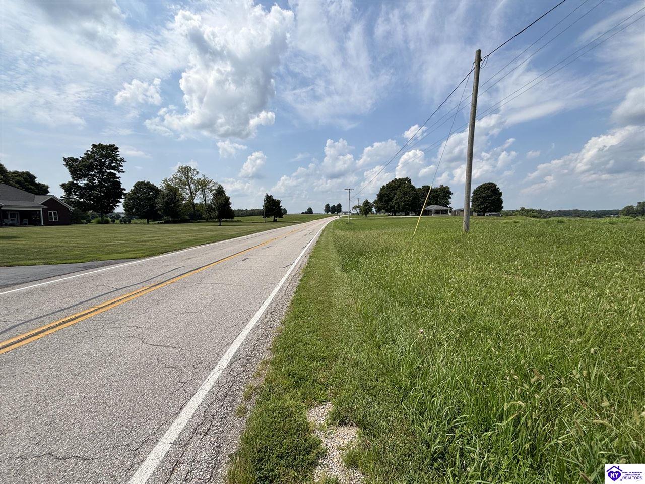 1404 Payneville Road Brandenburg, KY 40108 #4