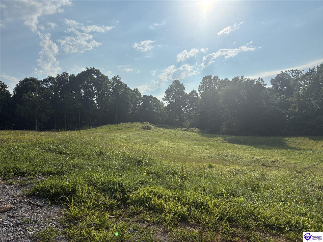 3440 Watershed Road Caneyville, KY 42721 #1