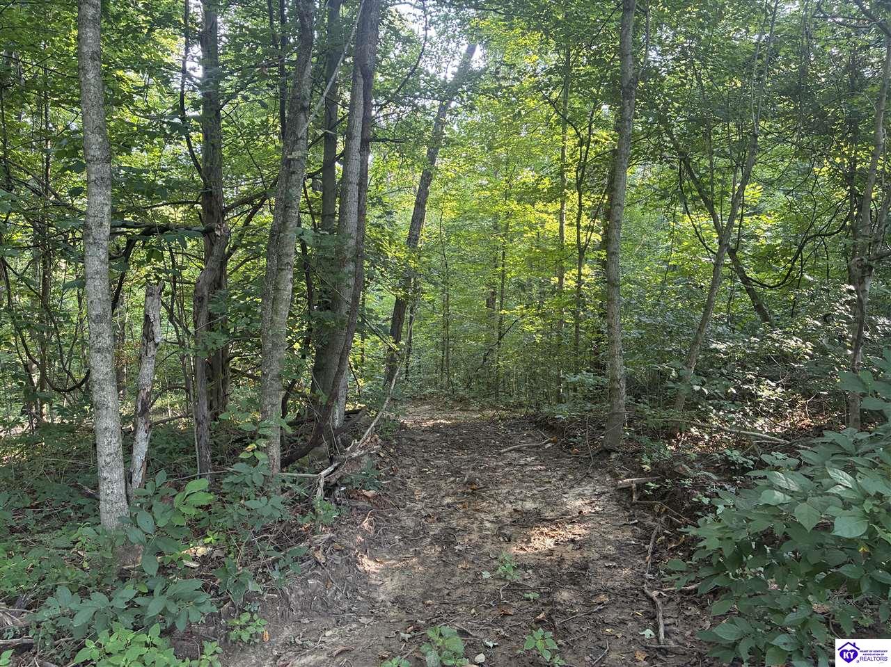 3440 Watershed Road Caneyville, KY 42721 #2