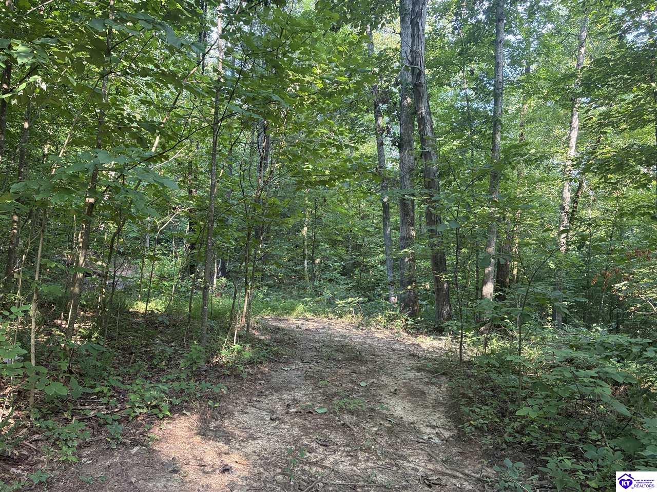 3440 Watershed Road Caneyville, KY 42721 #3